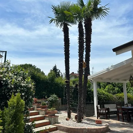 Simona Apartament