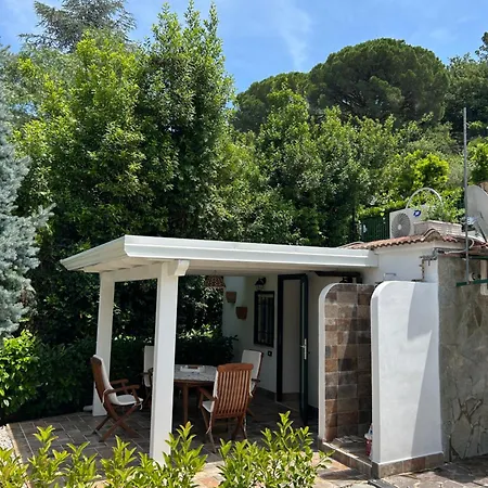 Simona Apartament